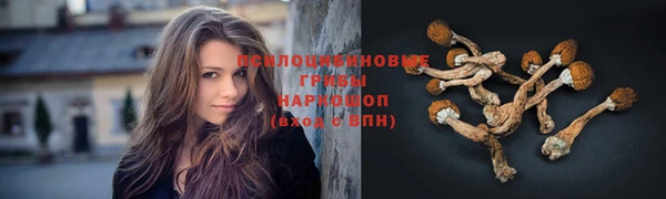 прущая мука Баксан